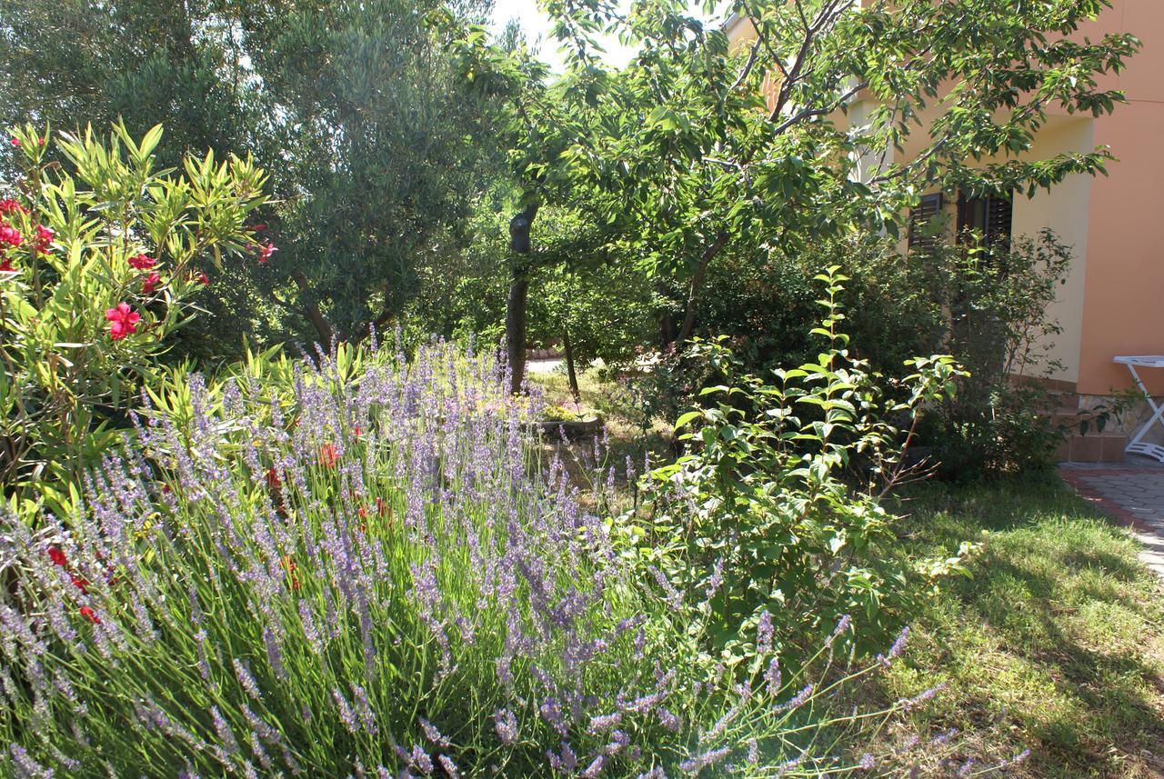 Apartment Ana M Krk Town Bagian luar foto